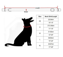 Load image into Gallery viewer, Purple Dog Collar, Leash and Bow Tie Set
