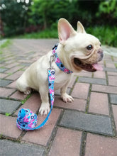 Load image into Gallery viewer, Personalized Dog Collar and Leash Set