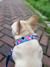 Load image into Gallery viewer, Personalized Dog Collar and Leash Set