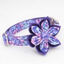 Load image into Gallery viewer, Purple Magic Dog Collar and Leash with Removable Flower