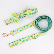 Load image into Gallery viewer, Pineapple Dog Collar, Leash and Bow Tie Set