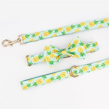 Load image into Gallery viewer, Pineapple Dog Collar, Leash and Bow Tie Set