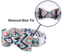 Load image into Gallery viewer, Blue Plaid Dog Collar, Leash and Bow Tie Set
