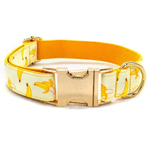 Load image into Gallery viewer, Banana Dog Collar, Leash and Bow Tie Set