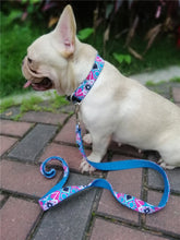 Load image into Gallery viewer, Personalized Dog Collar and Leash Set
