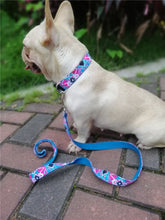 Load image into Gallery viewer, Personalized Dog Collar and Leash Set
