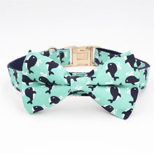 Load image into Gallery viewer, Whale Dog Collar, Leash and Bow Tie Set
