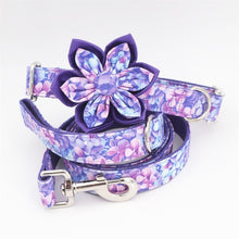 Load image into Gallery viewer, Purple Magic Dog Collar and Leash with Removable Flower
