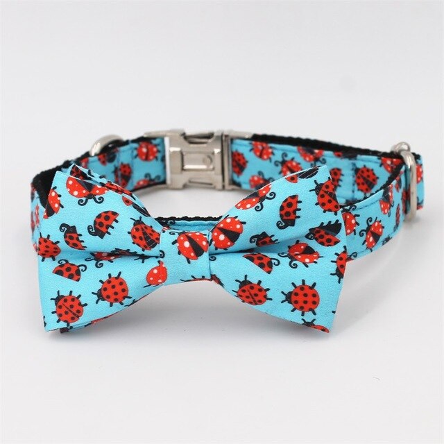 Ladybird Dog Collar, Leash and Bow Tie Set