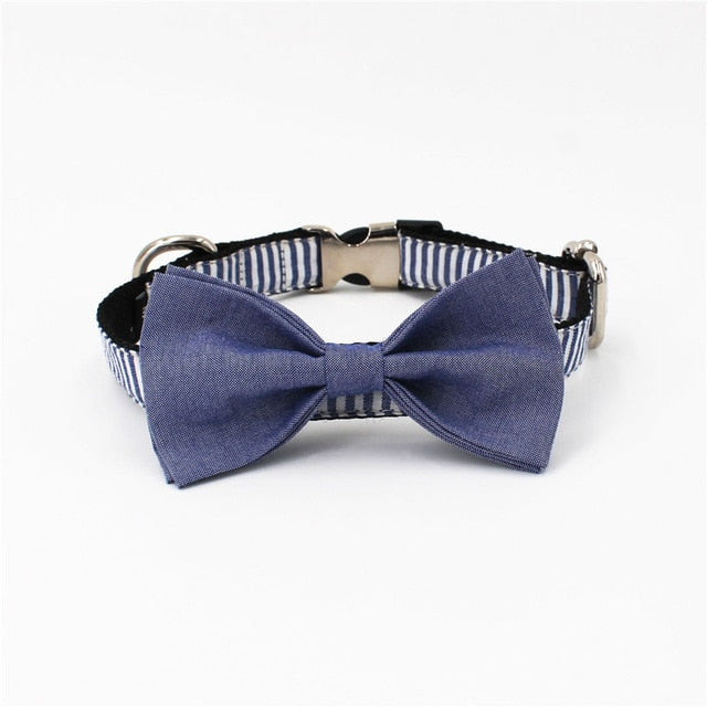 Blue Striped Dog Collar, Leash, and Bow Tie Set