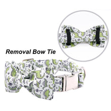 Load image into Gallery viewer, Green Dinosaur Collar, Leash and Bow Tie Set
